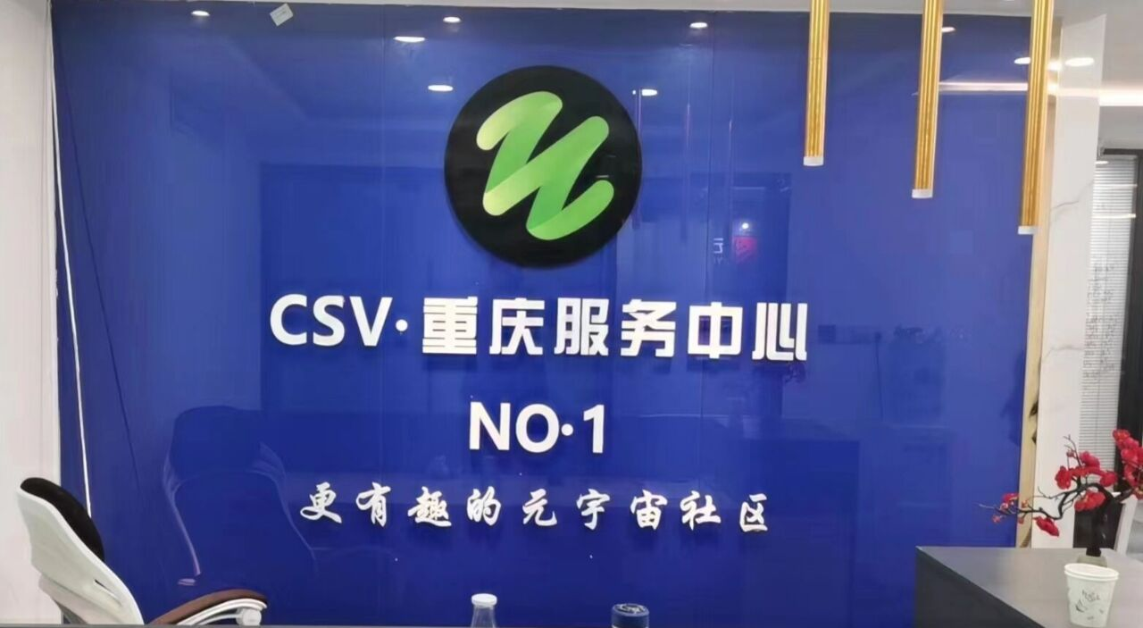 2023年CSV直播电商高峰论坛,CSV星球宝贝新兴形式备受瞩目。项目总部上海支持实地考察！