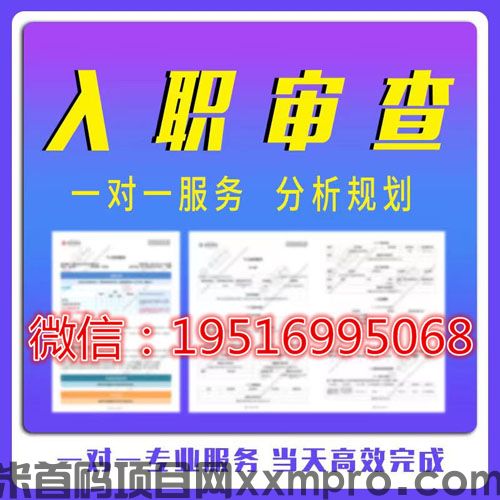 网络项目