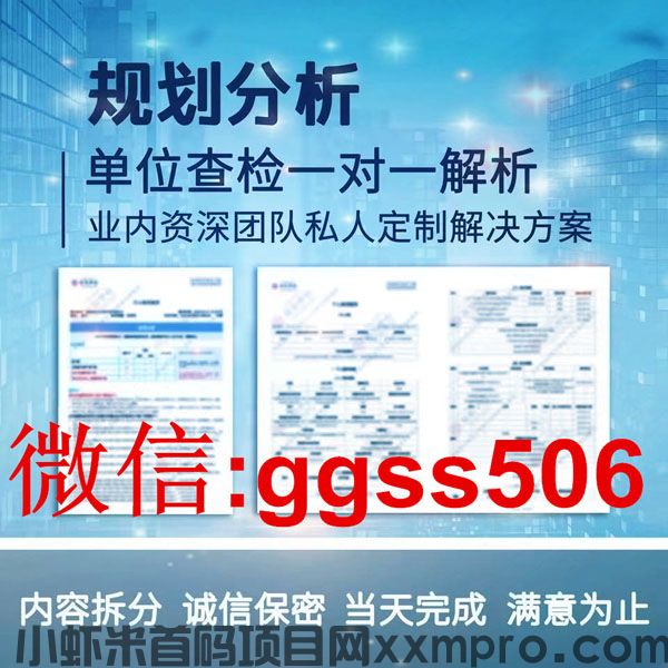 网络项目