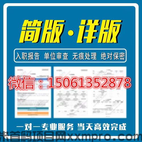 网络项目
