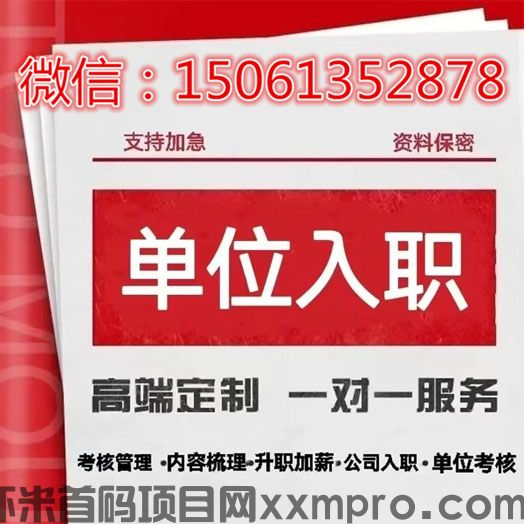 网络项目