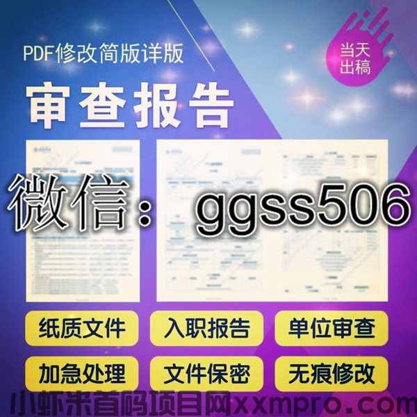 网络项目