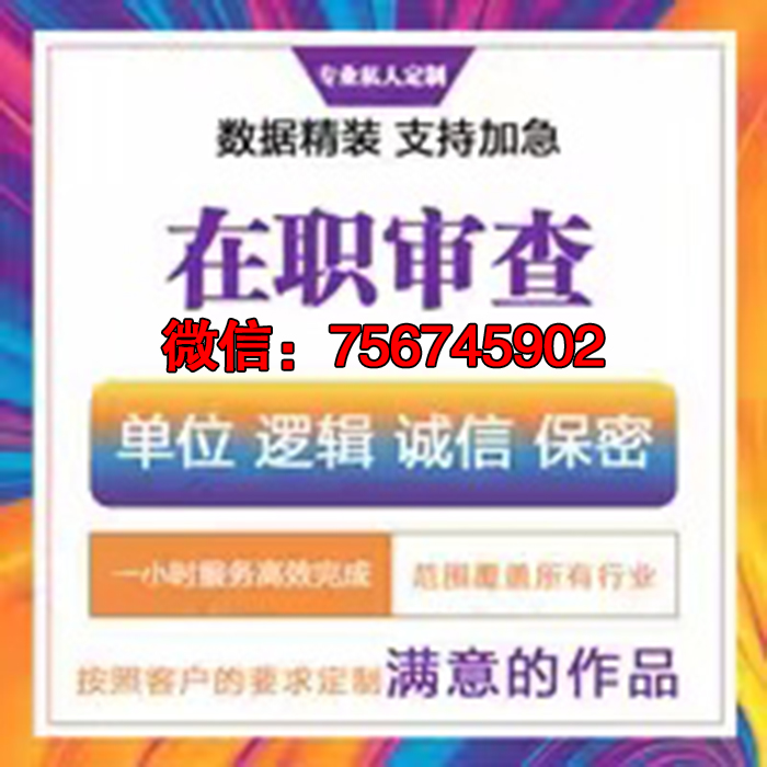 网络项目