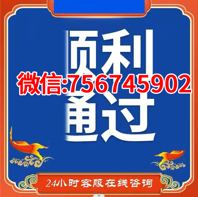 网络项目