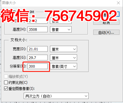 网络项目