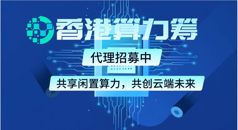 网络项目