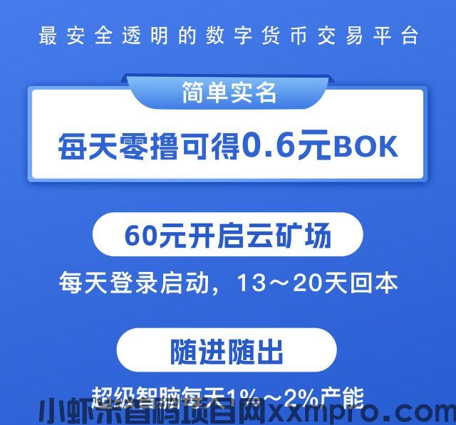 网络项目