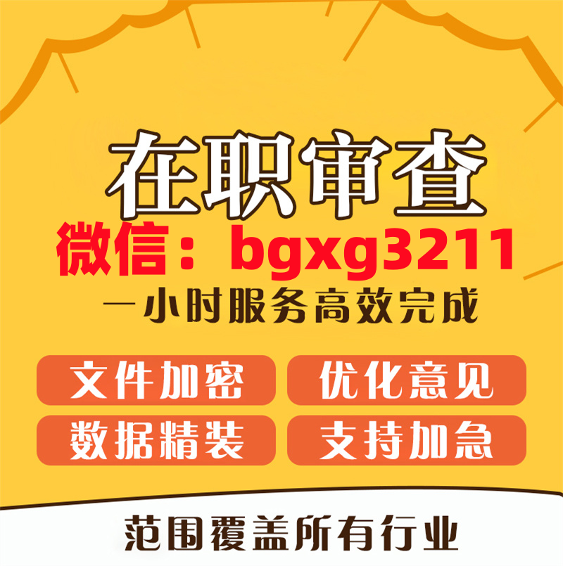 网络项目