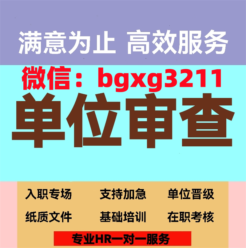 网络项目