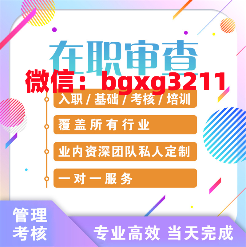 网络项目