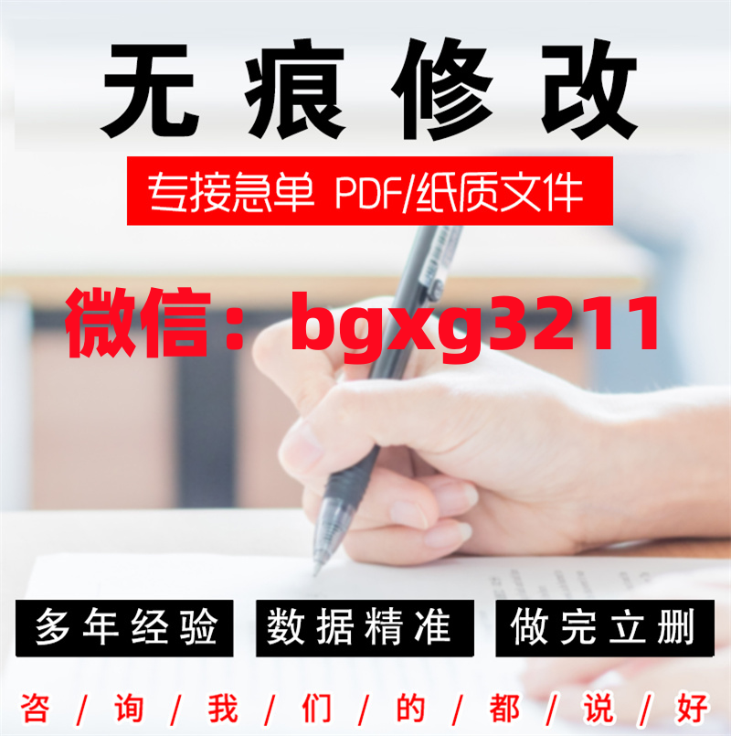 网络项目