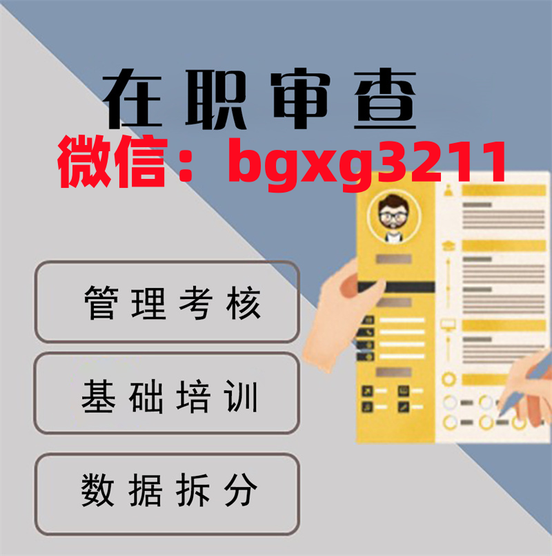 网络项目