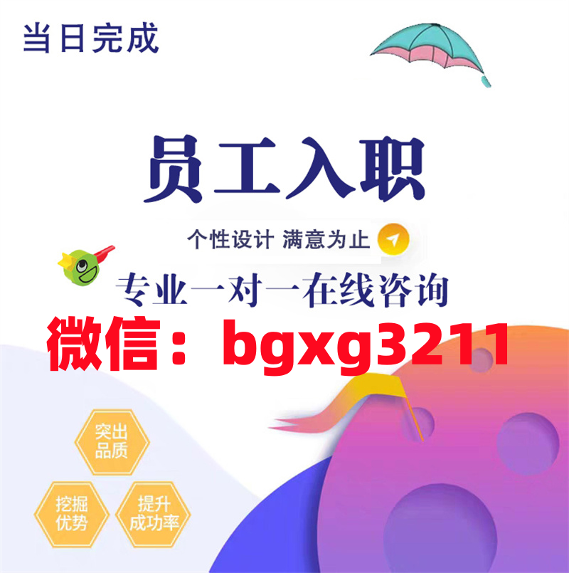 网络项目