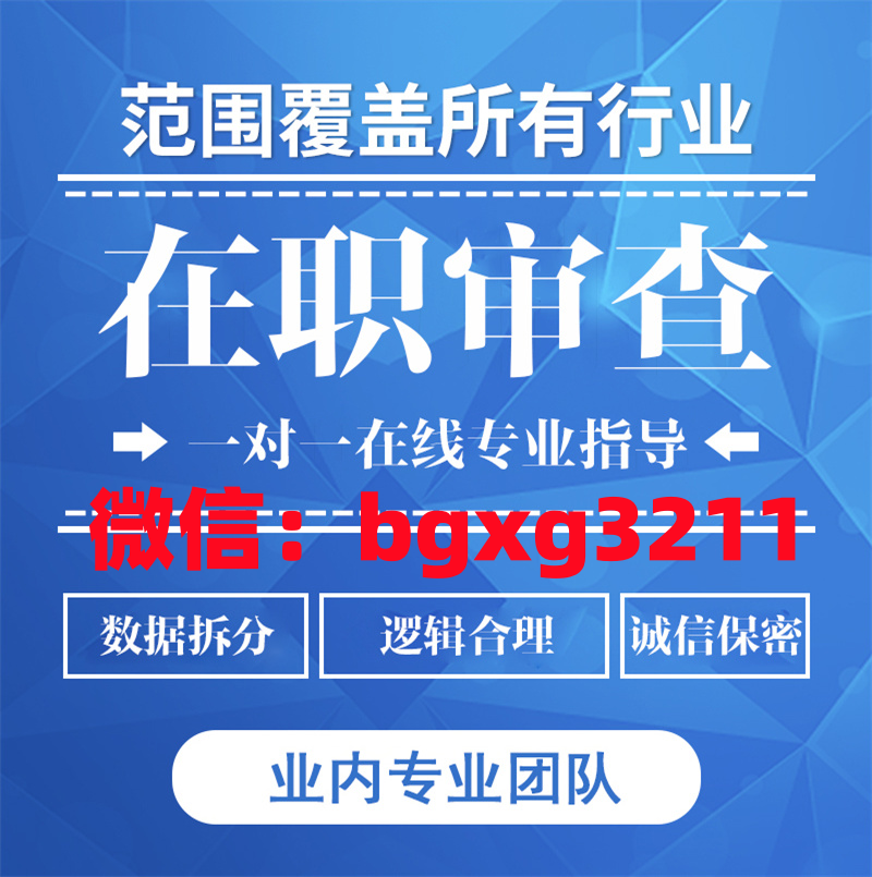 网络项目
