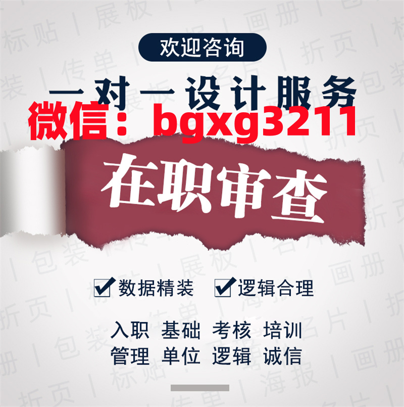 网络项目