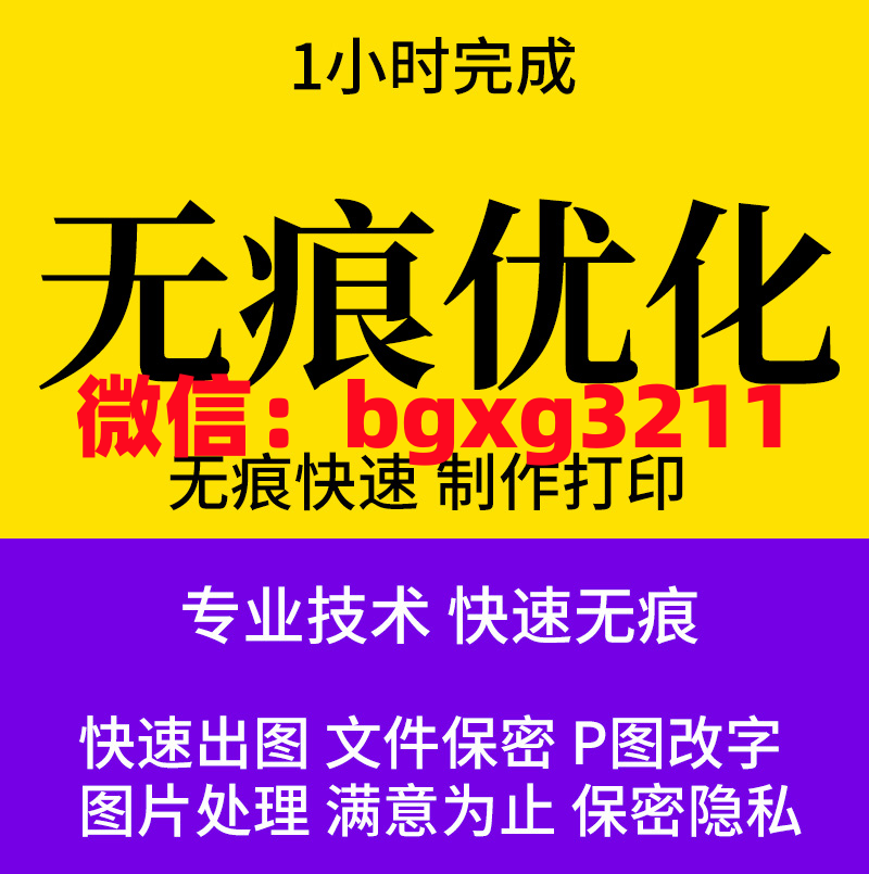 网络项目
