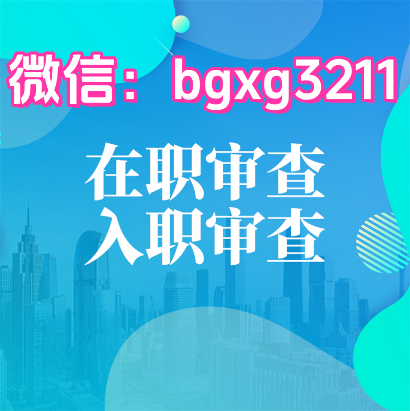 网络项目