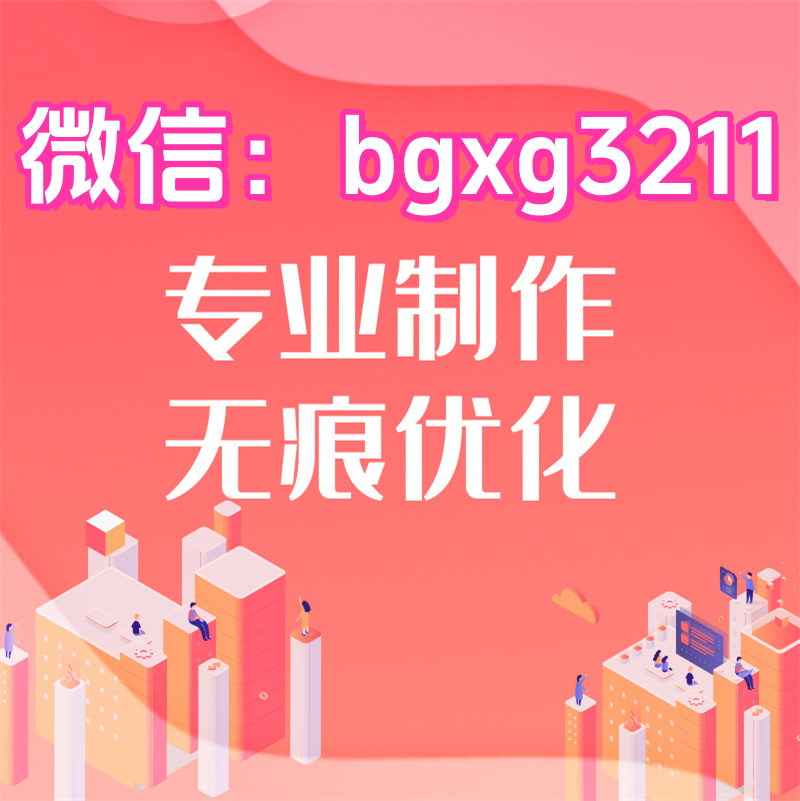 网络项目