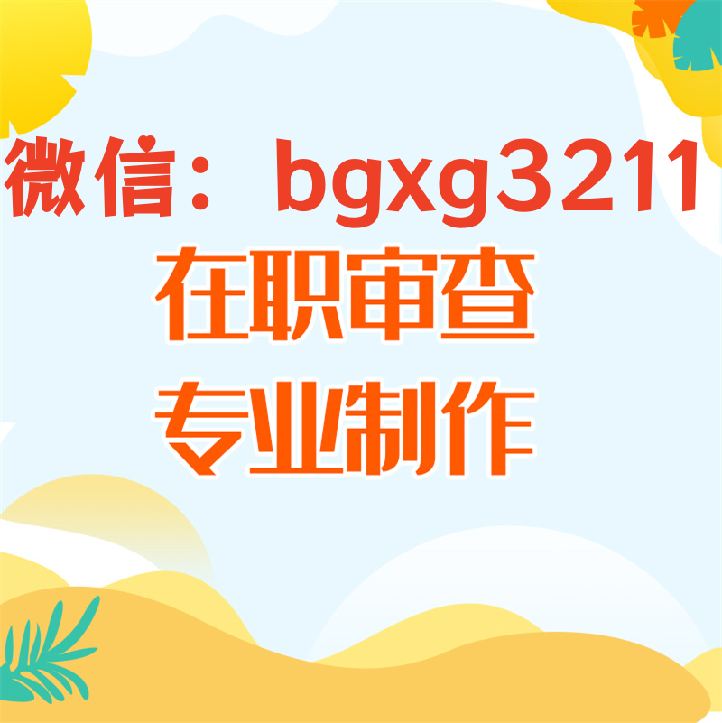 网络项目