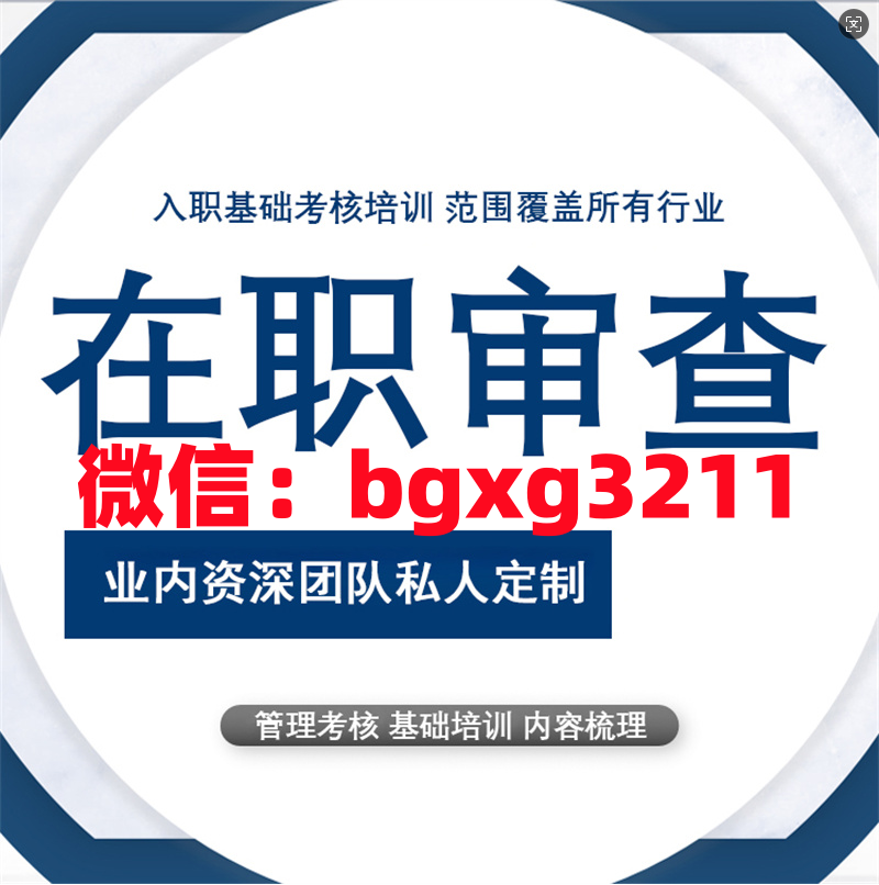 网络项目