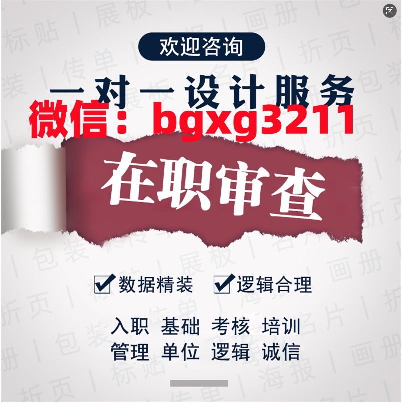 网络项目