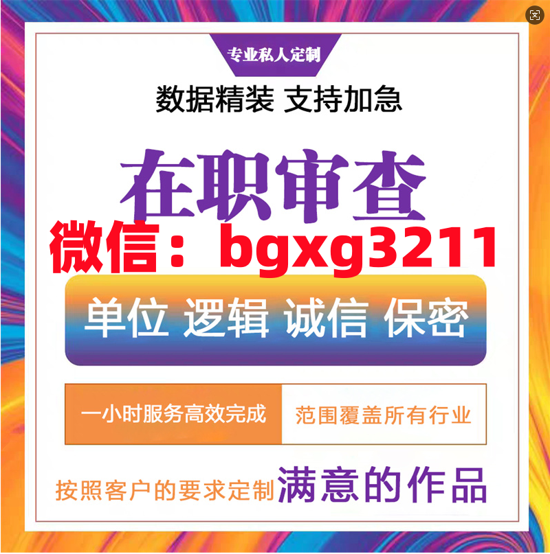 网络项目