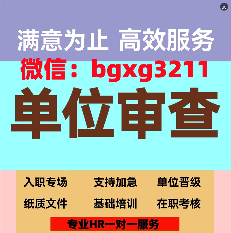 网络项目