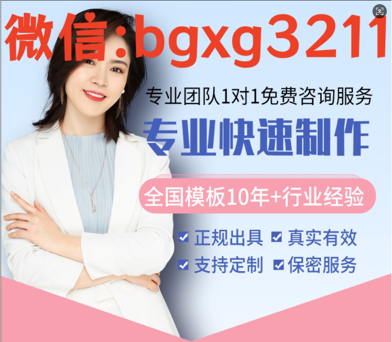 网络项目