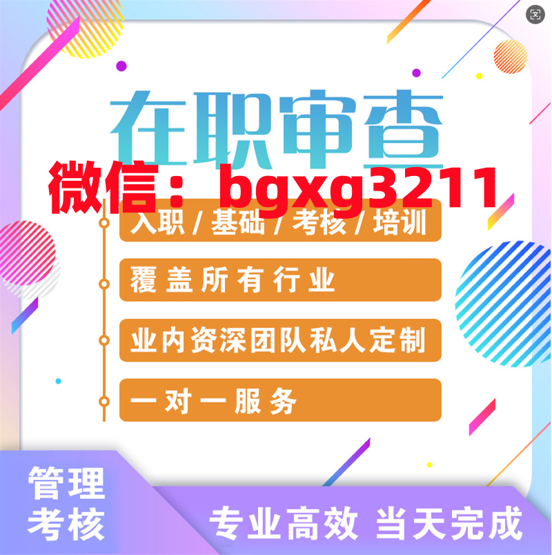 网络项目