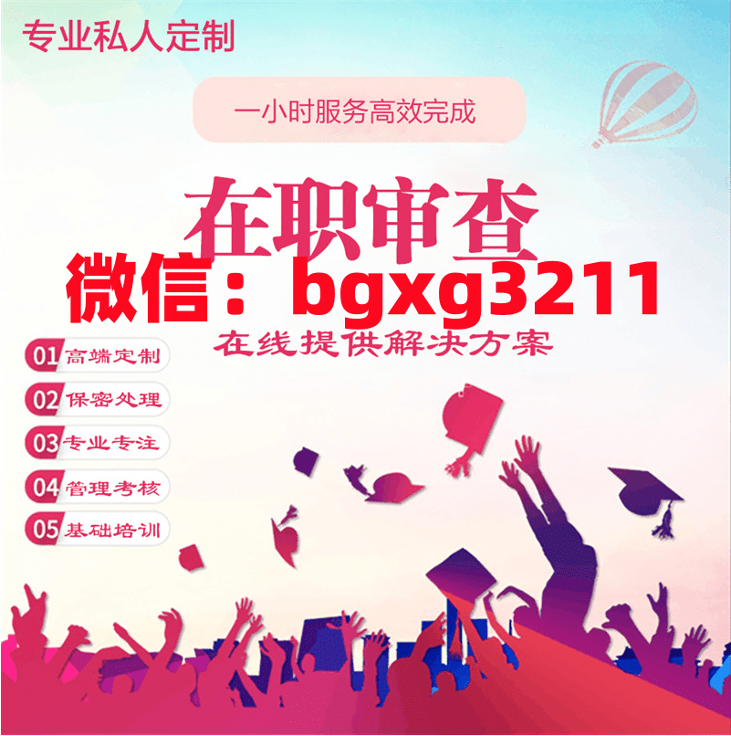 网络项目