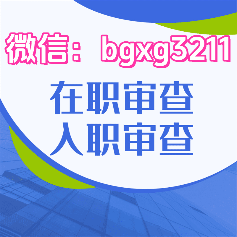 网络项目