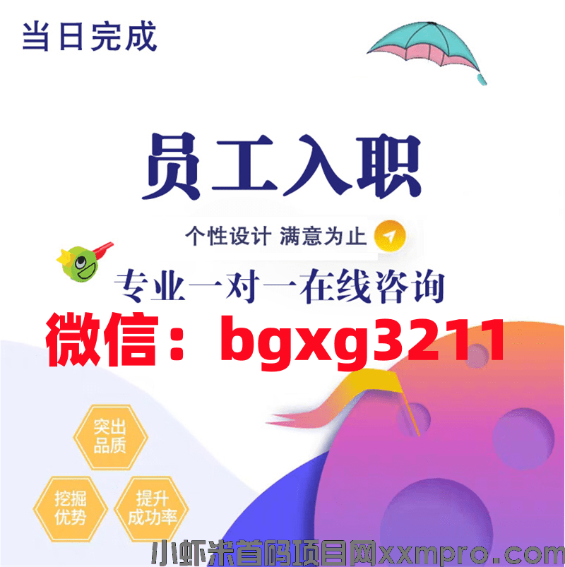 网络项目