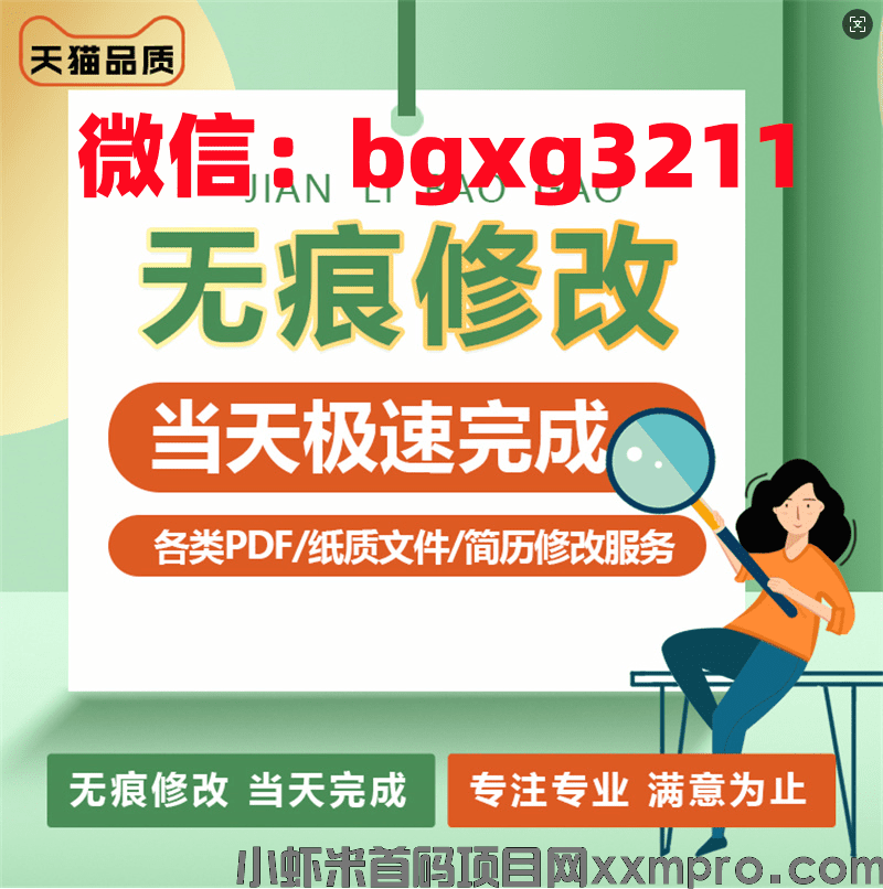 网络项目