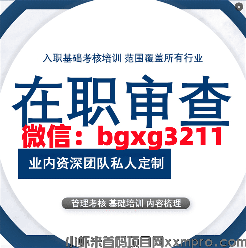 网络项目