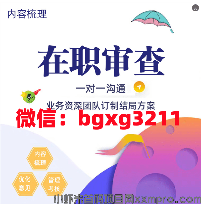 网络项目