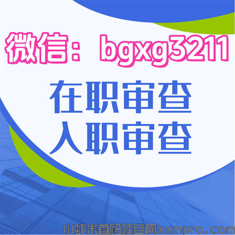 网络项目