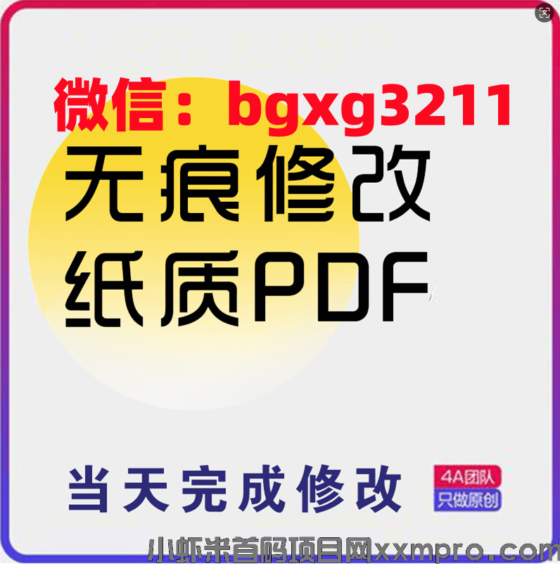 网络项目
