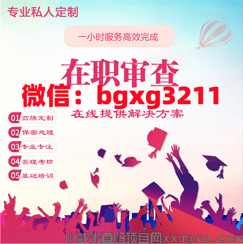 网络项目